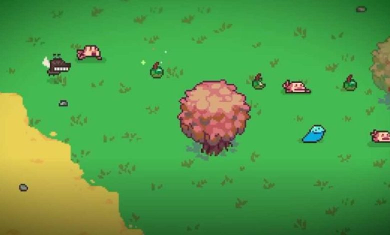 Everything is Crab: The Animal Evolution Roguelite
